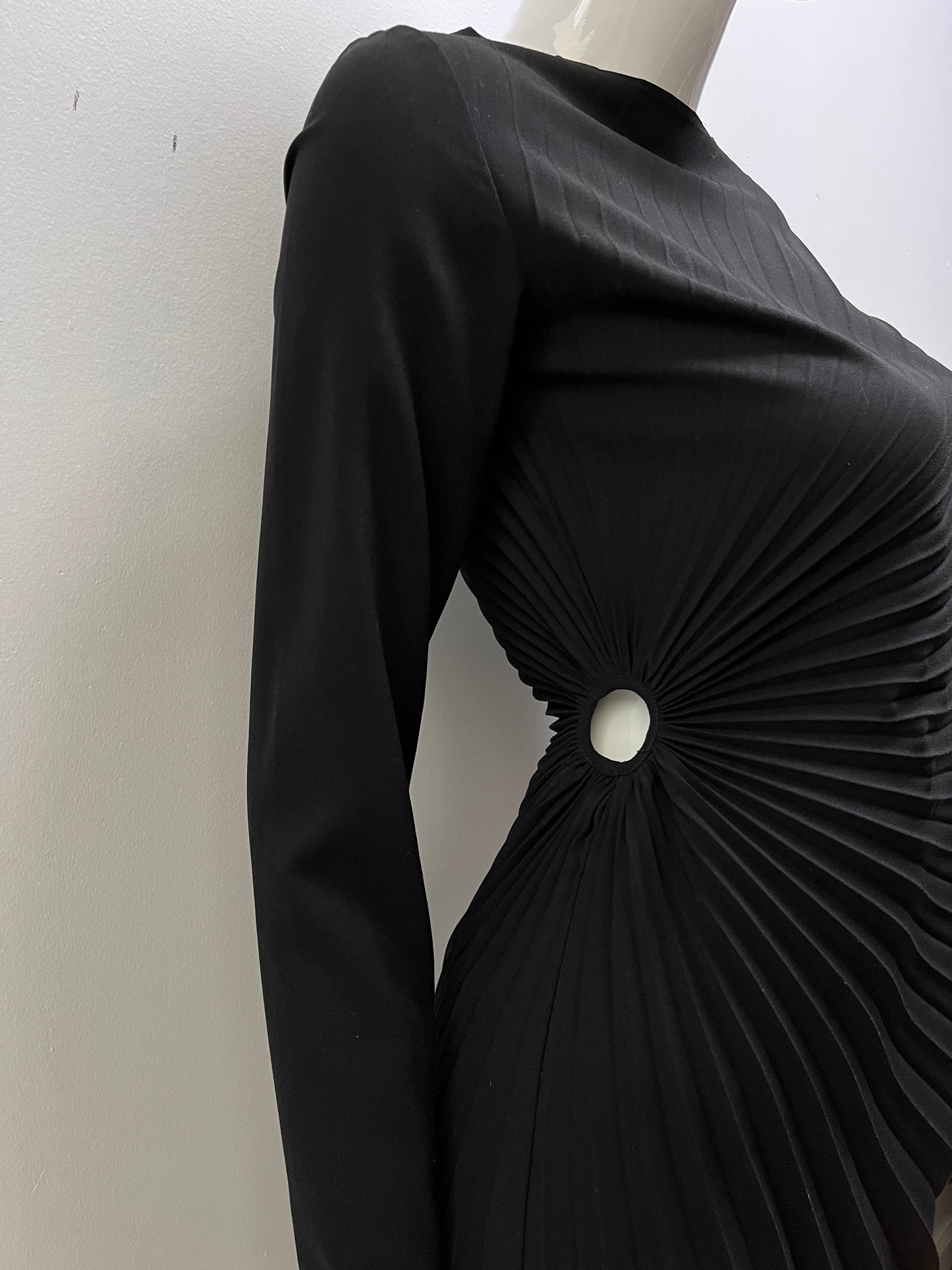 Margiela Fan Pleated Dress