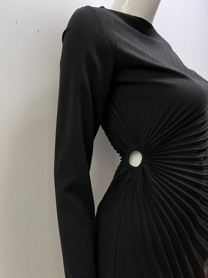 Margiela Fan Pleated Dress